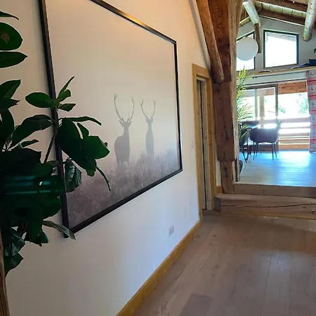 Chalet Heron Les Houches Exterior photo