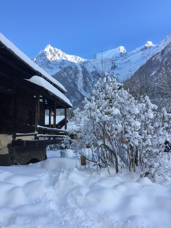 Heron Les Houches